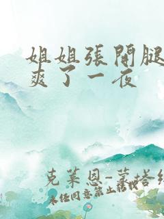 姐姐张开腿让我爽了一夜