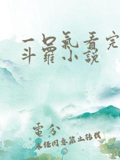 一口气看完穿越斗罗小说