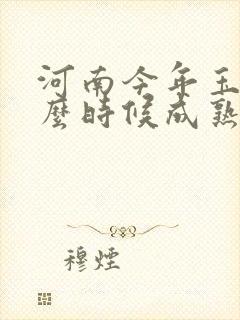 河南今年玉米什么时候成熟