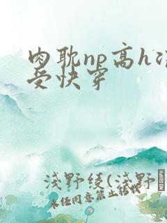 肉耽np高h浪受快穿