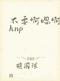 不要啊嗯啊啊啊hnp