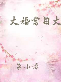 大婚当日大结局