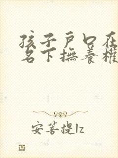孩子户口在母亲名下抚养权归谁