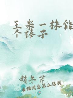 玉米一株能结几个棒子
