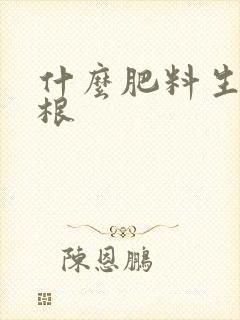 什么肥料生根养根