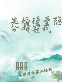 先婚后爱隐婚老公超宠我