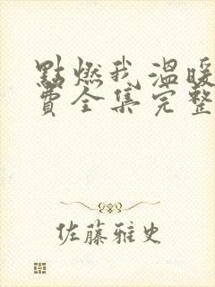 点燃我温暖你免费全集完整版