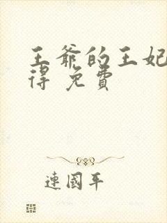王爷的王妃惹不得 免费