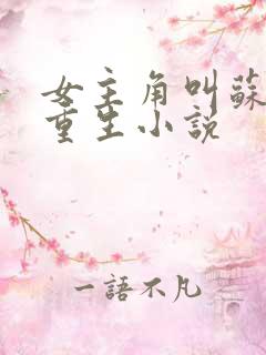 女主角叫苏黎的重生小说