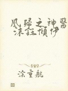 凰归之神医魔后 沫钰倾伊