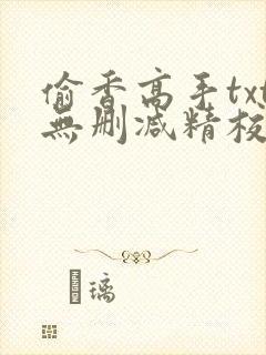 偷香高手txt无删减精校全本下载