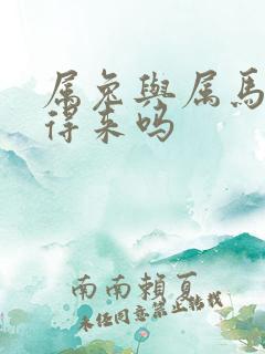 属兔与属马的合得来吗