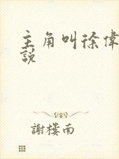 主角叫徐伟的小说