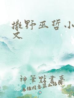 撒野巫哲小说全文