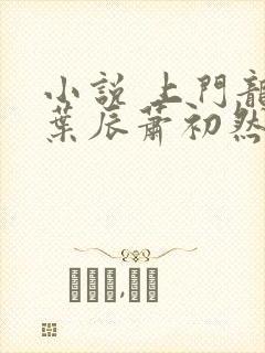 小说 上门龙婿叶辰萧初然