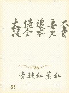 大佬追妻不择手段全本免费阅读