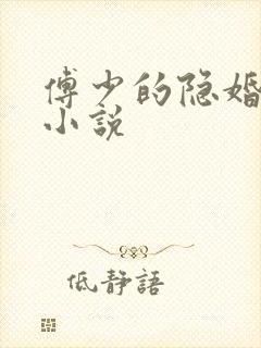 傅少的隐婚娇妻小说