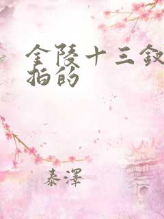 金陵十三钗哪年拍的