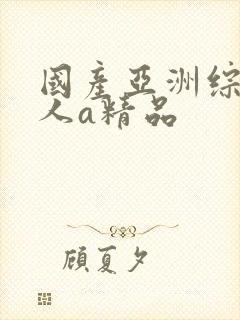 国产亚洲综合成人a精品
