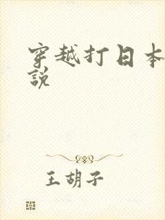 穿越打日本的小说