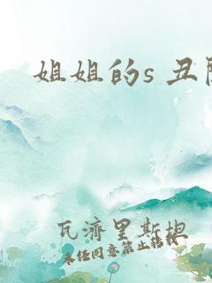 姐姐的s 丑闻