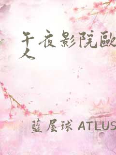 午夜影院欧美成人
