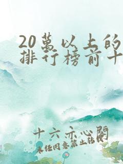 20万以上的车排行榜前十名