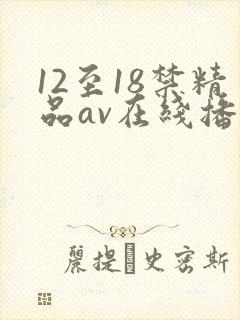 12至18禁精品av在线播放