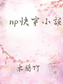 np快穿小说h