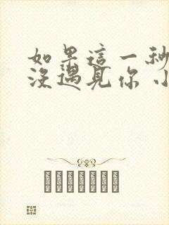 如果这一秒,我没遇见你 小说