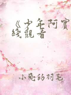 《少年阿宾》在线观看