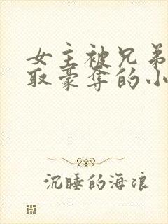 女主被兄弟俩强取豪夺的小说