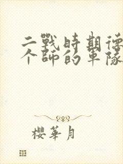 二战时期德国一个师的军队