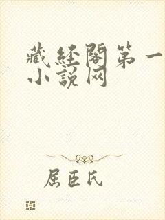 藏经阁第一版主小说网