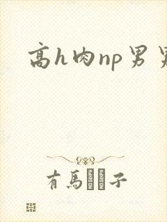 高h肉np男男