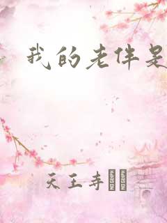 我的老伴是豪门