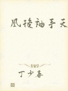 凰后袖手天下