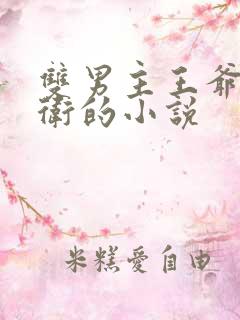双男主王爷和暗卫的小说