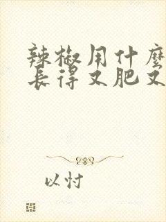 辣椒用什么肥料长得又肥又壮