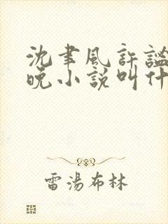 沈聿风许谧宋星晚小说叫什