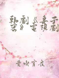 韩剧《妻子的秘密》电视剧全集