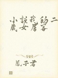 小说我的二十六岁女房客