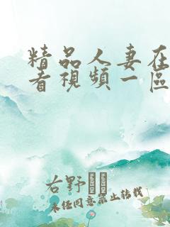 精品人妻在线观看视频一区二区