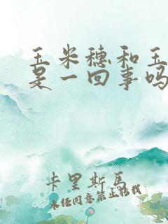 玉米穗和玉米须是一回事吗