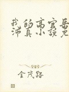 我的高官岳母苏沛真小说免费阅读