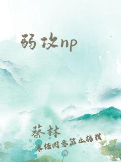 弱攻np