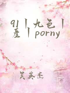 91丨九色丨国产丨porny