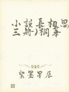 小说长相思(全三册)桐华