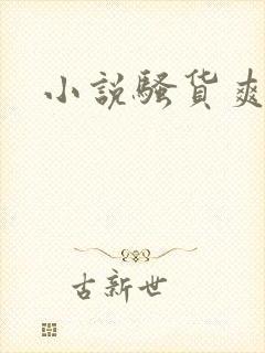 小说骚货爽不爽