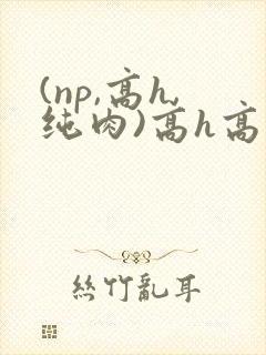 (np,高h,纯肉)高h高辣小说